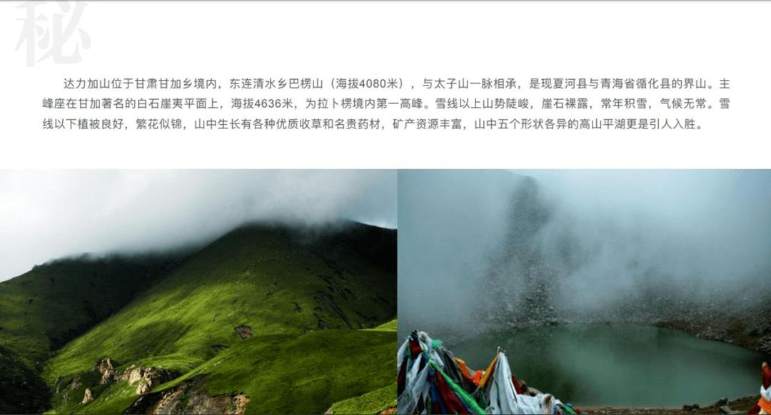 曾四千万一只,如今白送没人要!近十年最大泡沫,无数人血本无归
